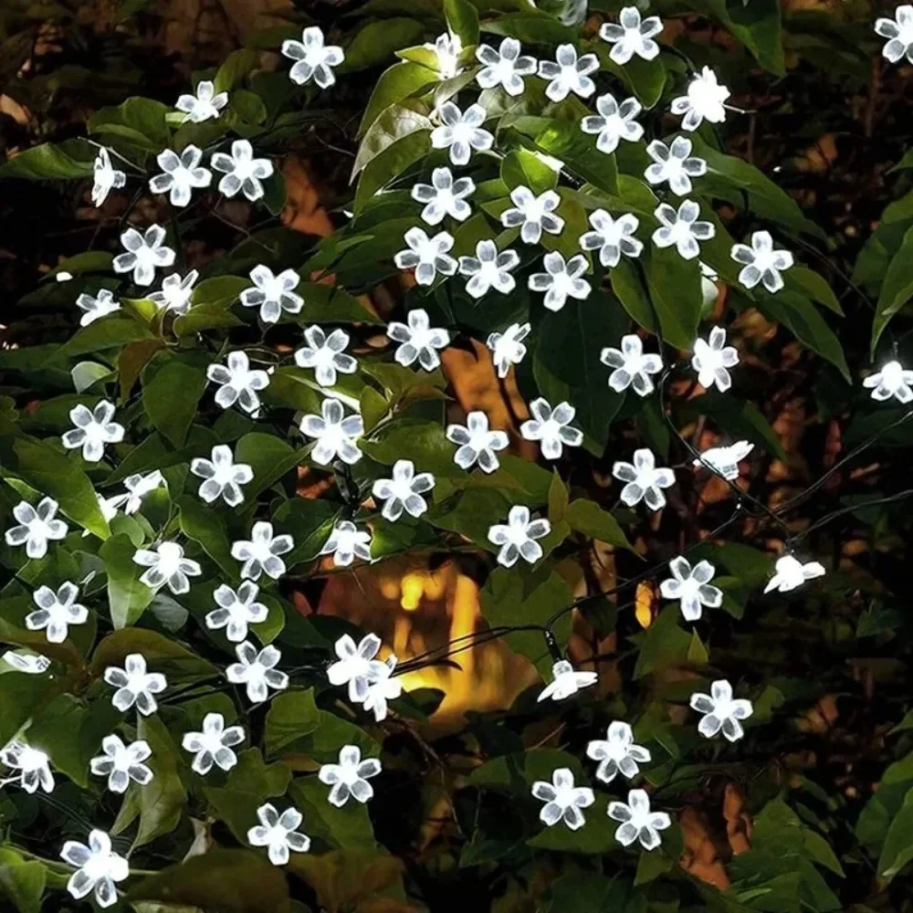 Solar Cherry Garden Flower Lig - Solar String Lights Outdoor 20M ulasan dan harga